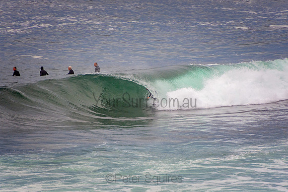 Avalon_201001_06-50-26_0189