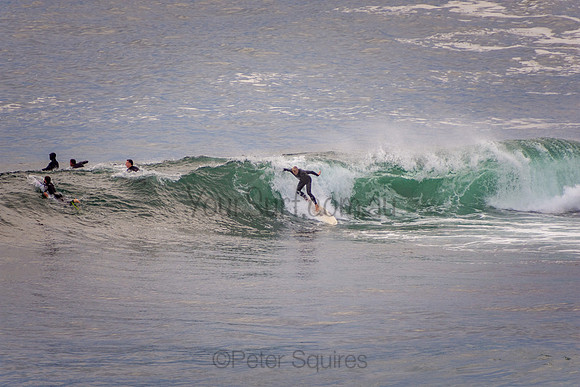 Avalon_201001_07-03-45_0226