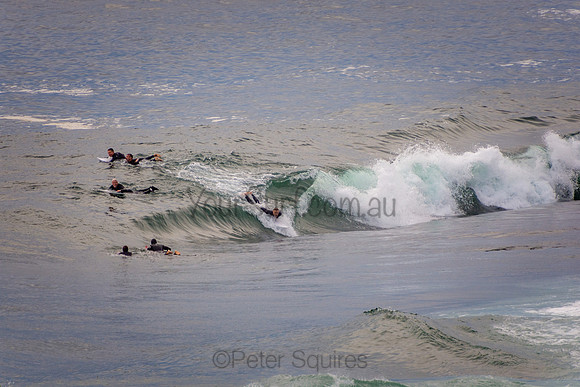 Avalon_201001_07-04-40_0239