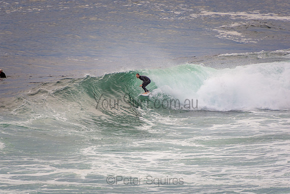Avalon_201001_07-05-04_0246
