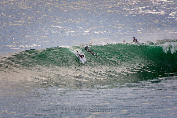 Avalon_201001_07-08-37_0254