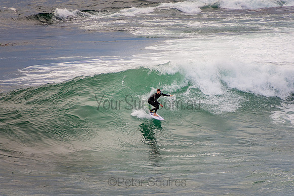 Avalon_201001_07-08-46_0256