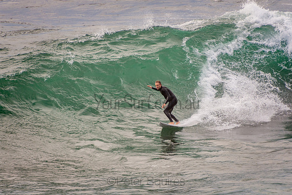 Avalon_201001_07-15-08_0266