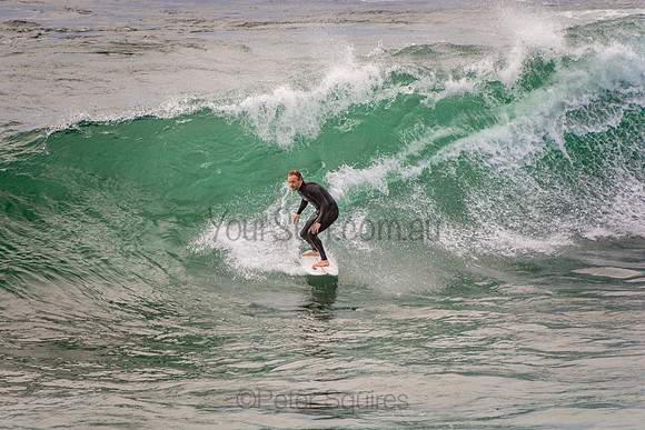 Avalon_201001_07-15-09_0269