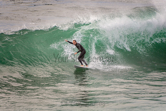 Avalon_201001_07-15-09_0271