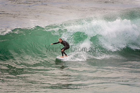Avalon_201001_07-15-10_0272