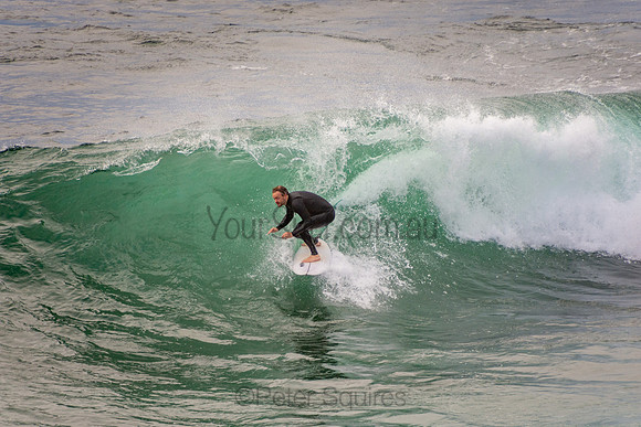 Avalon_201001_07-15-10_0274