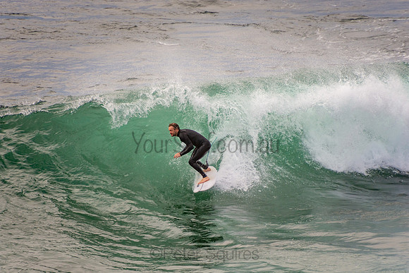 Avalon_201001_07-15-10_0275