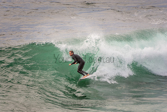 Avalon_201001_07-15-11_0276