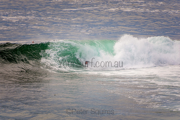 Avalon_201001_07-16-40_0282