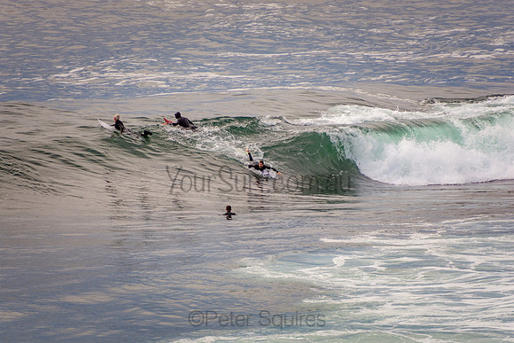 Avalon_201001_07-17-12_0289