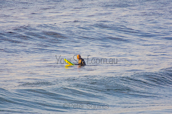 Bilgola_201004_06-00-24_0047