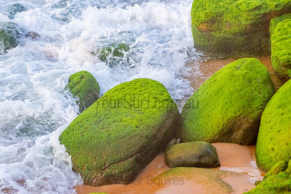 Bilgola_201004_06-06-54_0096
