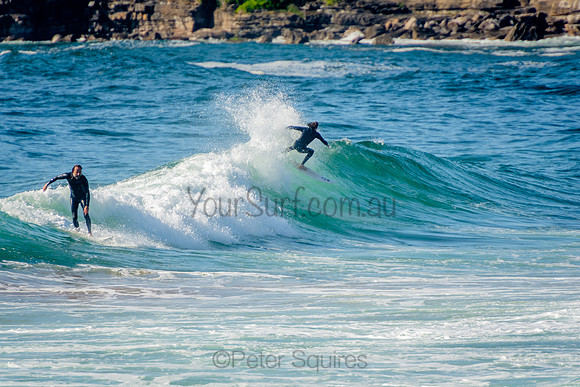 Whale_Beach