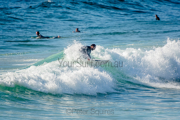 Whale_Beach