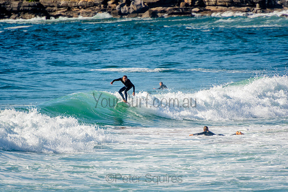 Whale_Beach