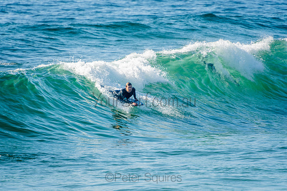 Whale_Beach
