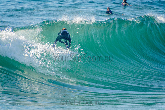 Whale_Beach
