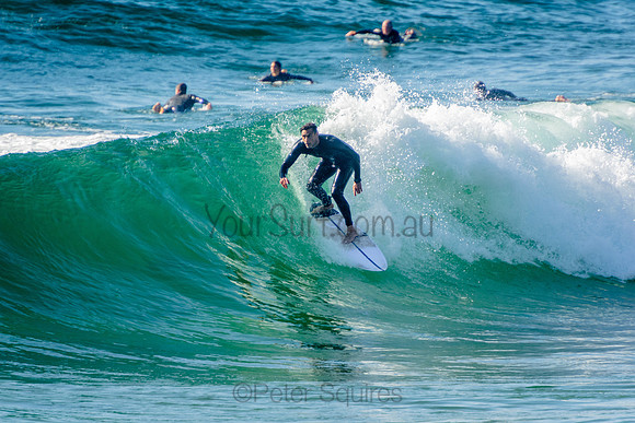 Whale_Beach