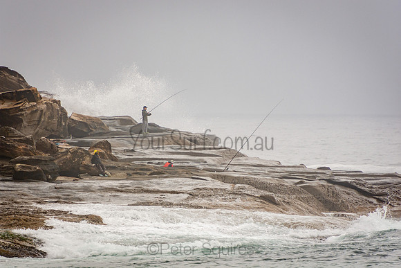 Whale_Beach_201007_09-52-46_0008