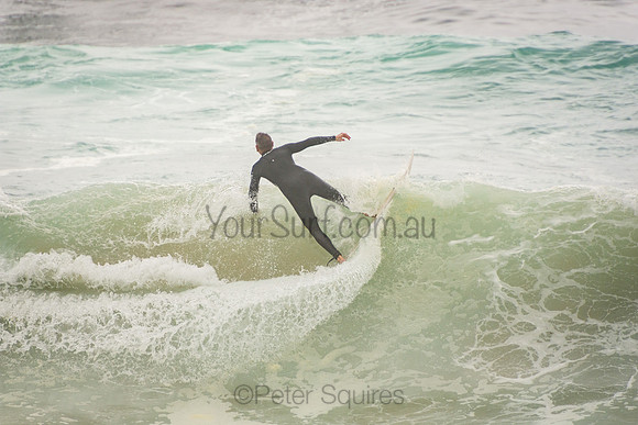 Whale_Beach_201007_09-55-59_0038