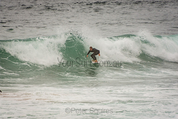 Whale_Beach_201007_10-06-26_0080
