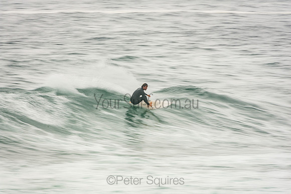 Whale_Beach_201007_10-14-00_0124