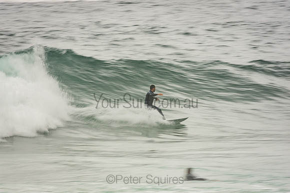 Whale_Beach_201007_10-16-09_0139