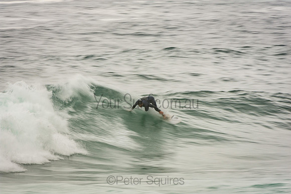 Whale_Beach_201007_10-16-10_0143