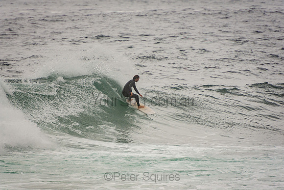 Whale_Beach_201007_10-16-45_0155