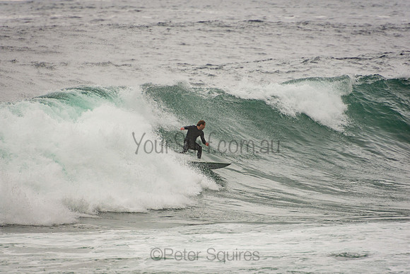 Whale_Beach_201007_10-21-09_0194