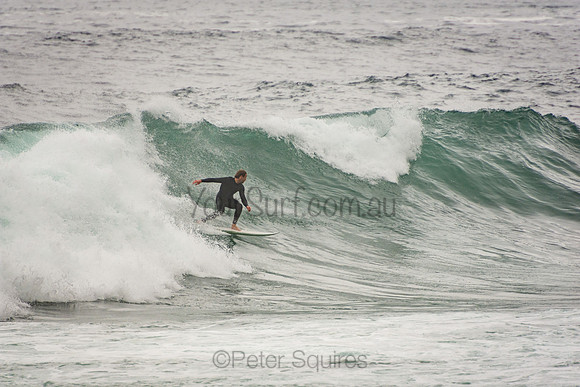 Whale_Beach_201007_10-21-09_0195
