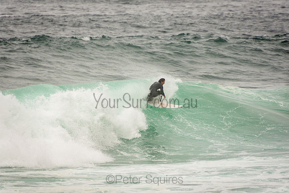 Whale_Beach_201007_10-45-35_0241