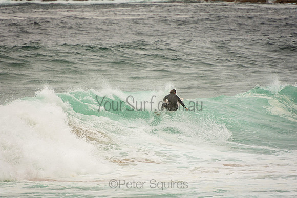 Whale_Beach_201007_10-45-37_0246