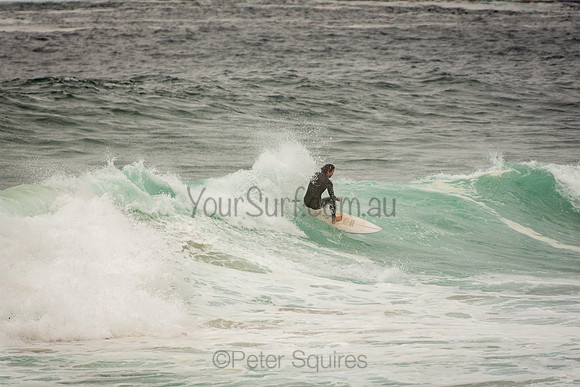Whale_Beach_201007_10-45-38_0248