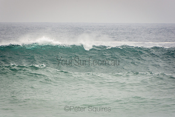 Whale_Beach_201007_10-55-30_0287