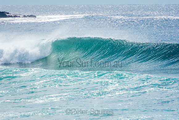 Palm_Beach_201009_10-20-10_0109