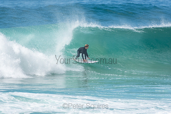 Whale_Beach_201009_11-07-09_0104