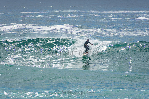 Whale_Beach_201009_11-12-44_0153