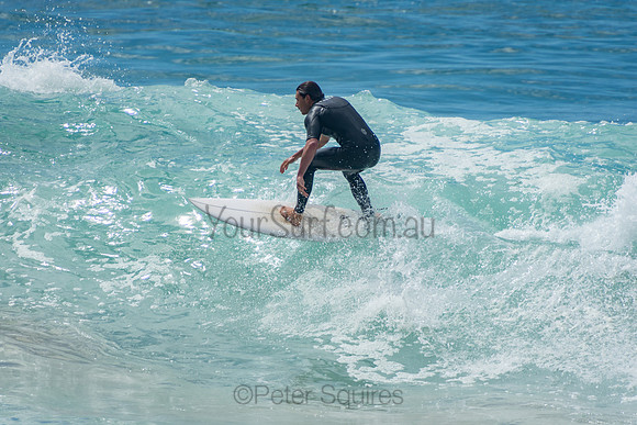 Whale_Beach_201009_11-16-59_0185