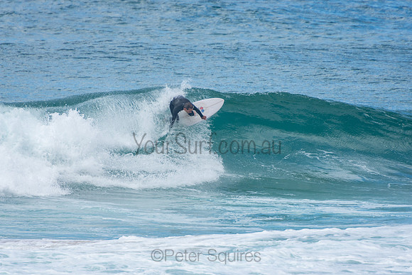 Whale_Beach_201009_11-29-32_0264