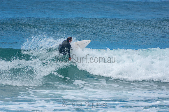 Whale_Beach_201009_11-31-20_0291