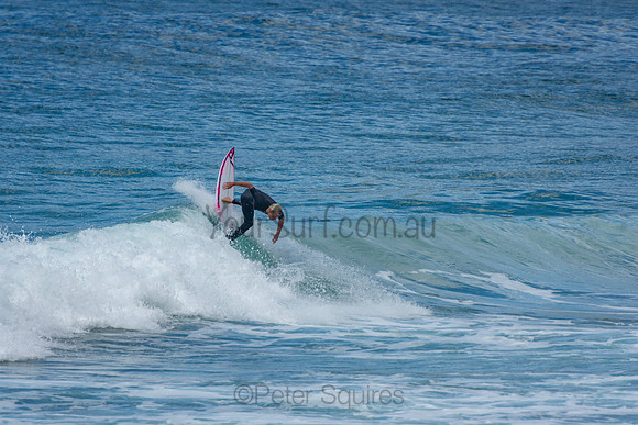 Whale_Beach_201009_11-31-26_0298