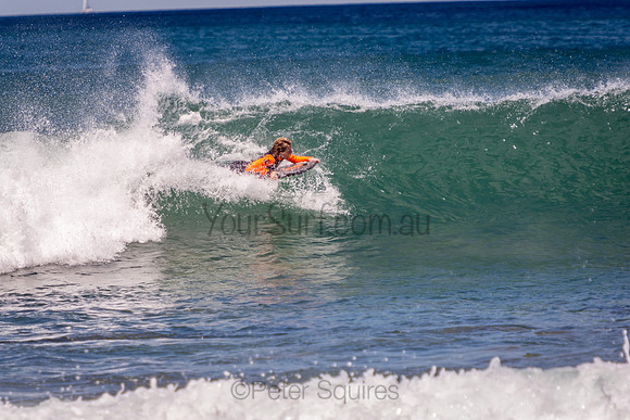 Avalon_201009_12-41-14_0073