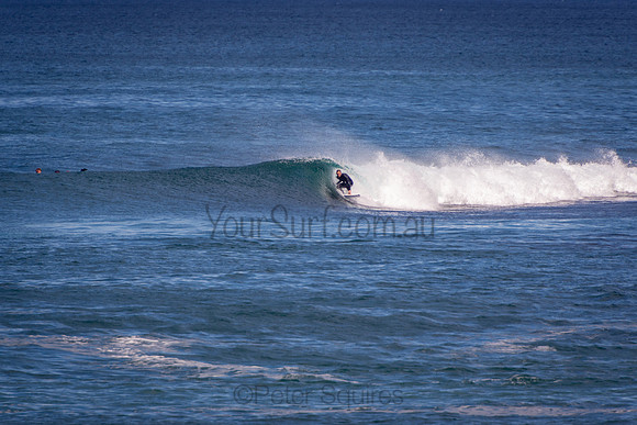 Avalon_201009_14-32-33_0251