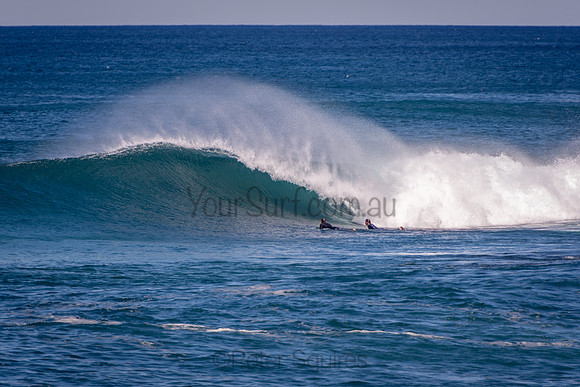 Avalon_201009_14-18-06_0156