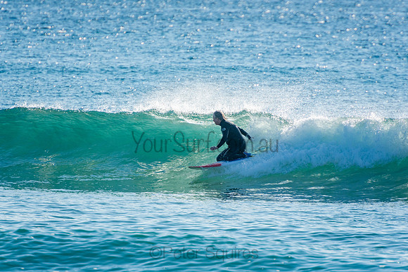 Palm_Beach_201011_07-53-16_0153