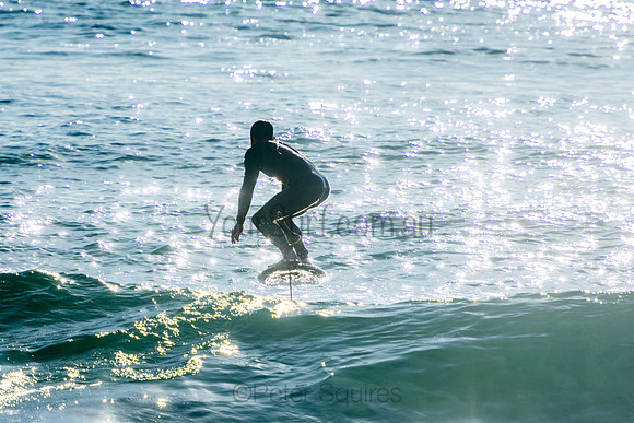 Palm_Beach_201011_08-03-01_0258