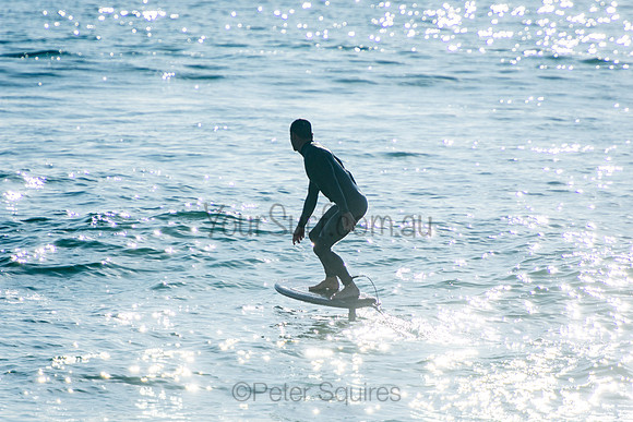 Palm_Beach_201011_08-03-04_0259