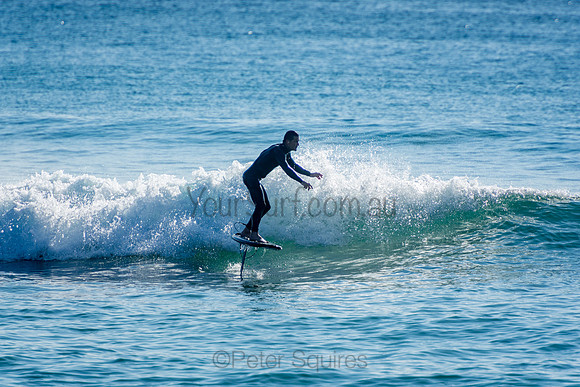 Palm_Beach_201011_08-27-01_0472